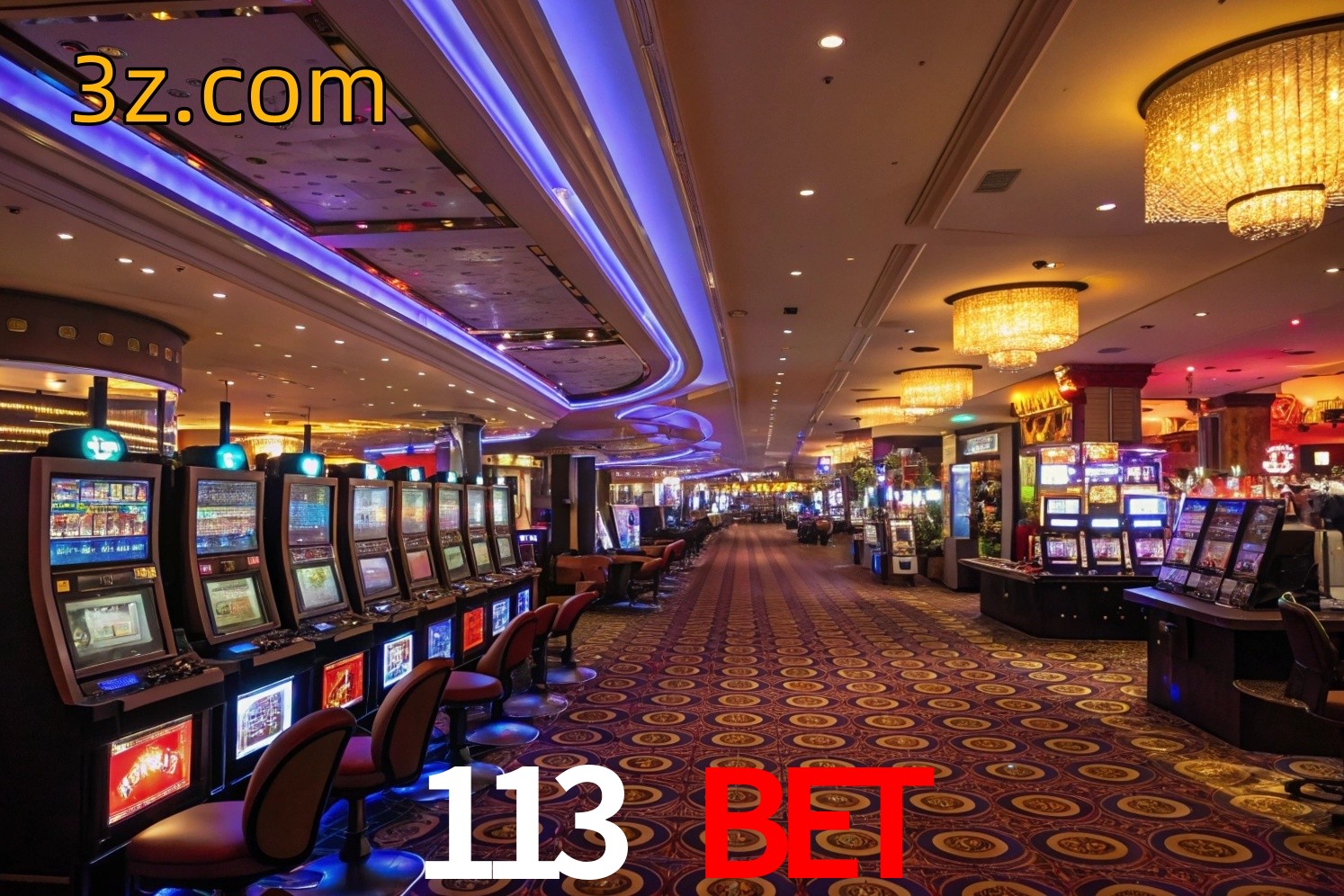 vip 113 bet